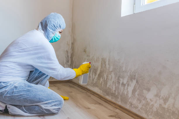 Mold Remediation specialist working in Salem